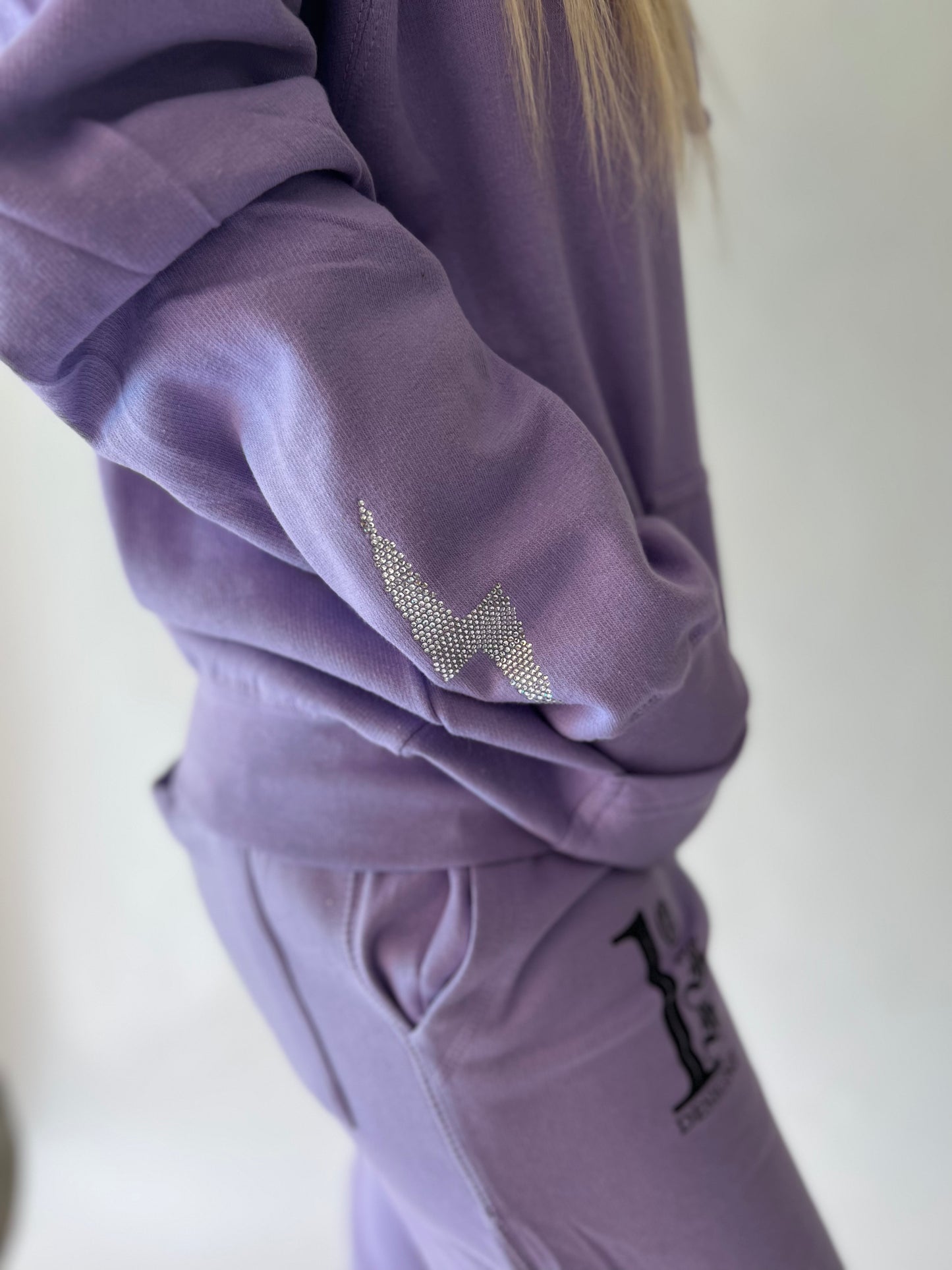 Purple Reign Hoodie